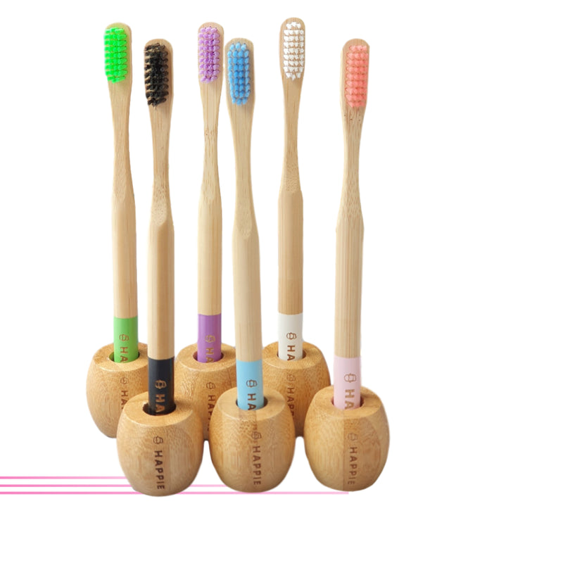 Starter Pack - 6 Toothbrushes & Holders